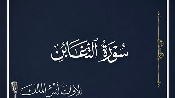 تلاوة سورة التغابن للقارئ أنس المالك من ليالي رمضان لعام ١٤٤٣