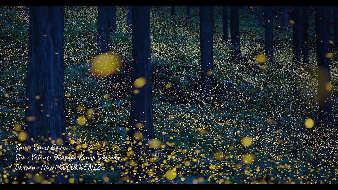 Yunus Emre - Yalancı Dünyaya Konup Göçenler | Hayri Küçükdeniz