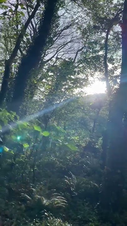 ☀️Sunbeam, Сонячний промінь! - YouTube