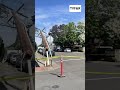 Truck takes out 7 power poles in Beaverton