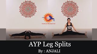 Ayp Leg Splits By Anjali