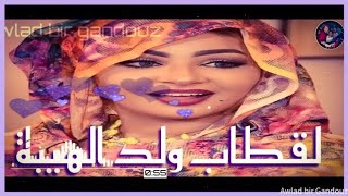 الشاعر لقــطاب ولد البـــشير الهــيبة - 