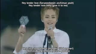 EXO - TENDER LOVE (INDO SUB)