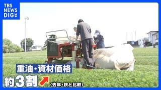 新茶の季節到来も中東情勢の影…燃料も保管袋も　抹茶づくりには欠かせない資材も高騰で生産者からは不安の声｜TBS NEWS DIG