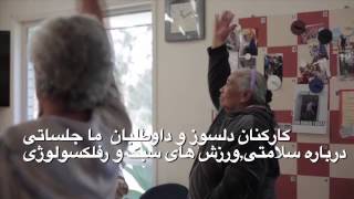 MultiLink Farsi