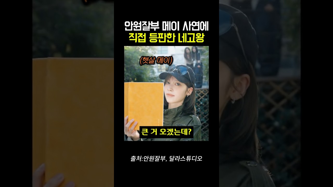 안원잘부 메이 사연에 직접 등판한 네고왕 ㄷㄷㄷ