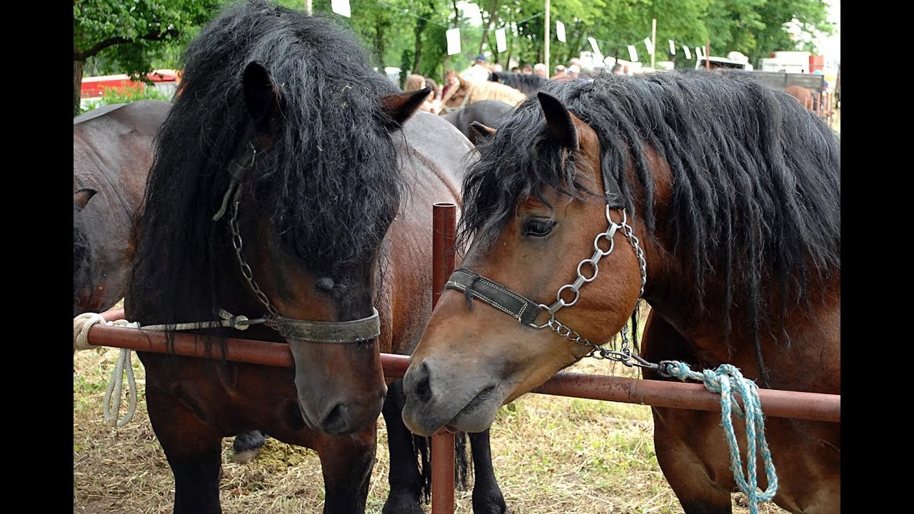 Plodovi zemlje, 4. lipnja 2023.