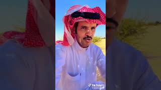 قصيدة بنيت لك قصر يضيع النظر فيه