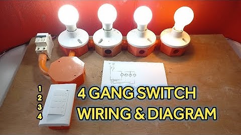4 Gang Switch Wiring and Diagram | 4 Lamp Controlled in 1 Location Individually | Local Electrician