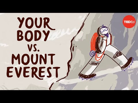 What happens to your body at the top of Mount Everest - Andrew Lovering