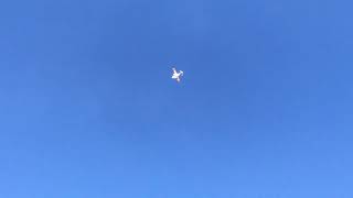 Avios Bush Mule Maiden Flight