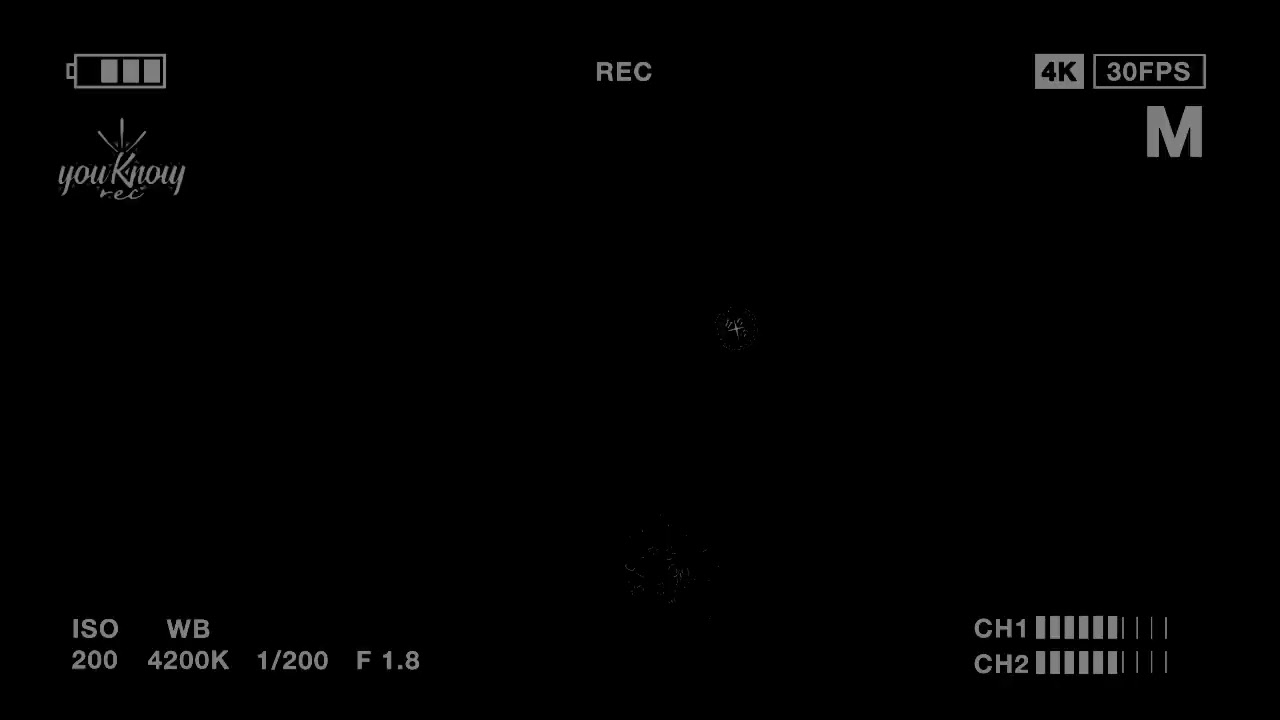 SHARCK DARK - AÑO DIECISIETE