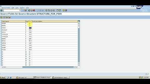 SAP - LSMW WITH FS00 GL ACCOUNTS COMBINE NATURE ENTRY IN ONE TIME