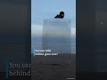 If you sometimes dream of being invisible, this one is for you! | DW News