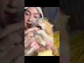 Hap Langsung Di Caplok #shorts #animals #cat #kucing #funny #pets #kitten #lucu #catlovers