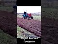 #shorts #homemade_tractor  Пашем в свал