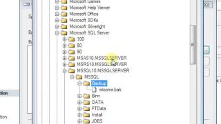 how to restor database backup file in sql server 2008