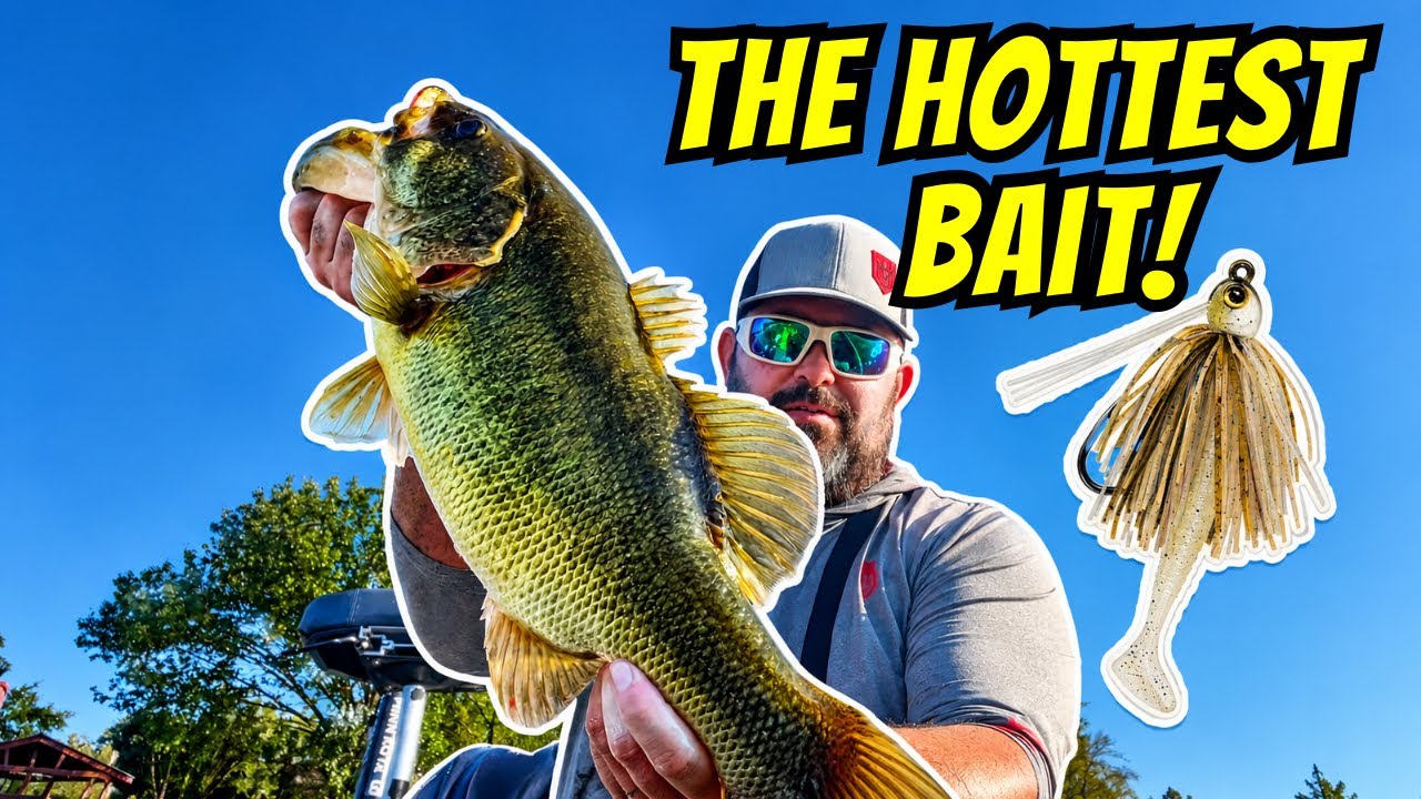 The HOTTEST Bait on Lake Fork for Bass Fishing! How to Fish a Swim Jig Like a PRO!