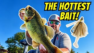 The HOTTEST Bait on Lake Fork for Bass Fishing! How to Fish a Swim Jig Like a PRO!