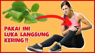 5 Tanaman Untuk Mengobati Luka Luar [TERBUKTI AMPUH]