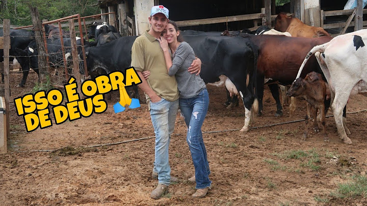 GRANDE CONQUISTA!COMPRAMOS MAIS 15 VACAS *Deus é fiel*