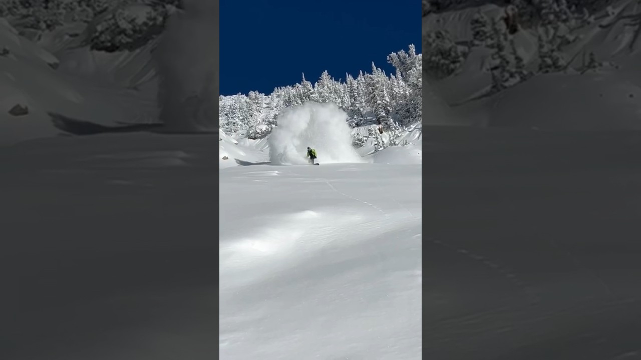 Who doesn’t love a good face shot? 