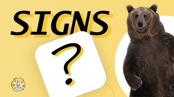 Signs of a Bear Market? When to be Cautious and Take Profits? Token Metrics AMA