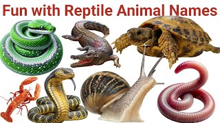 Slither and Crawl! 🐍 Reptile Names for Toddlers | Learn with Fun Images