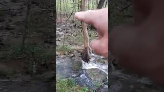 Arrowhead Trail