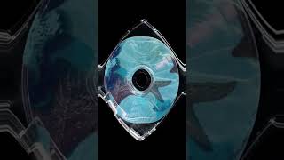 Kodak Black x Lil Yatchy x Southsidesilhouette type beat 'Florida Water'