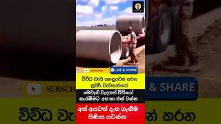 කොහොමද මෙයාලගේ වැඩ #smart #work #shortsfeed #viral #viralvideo #shorts