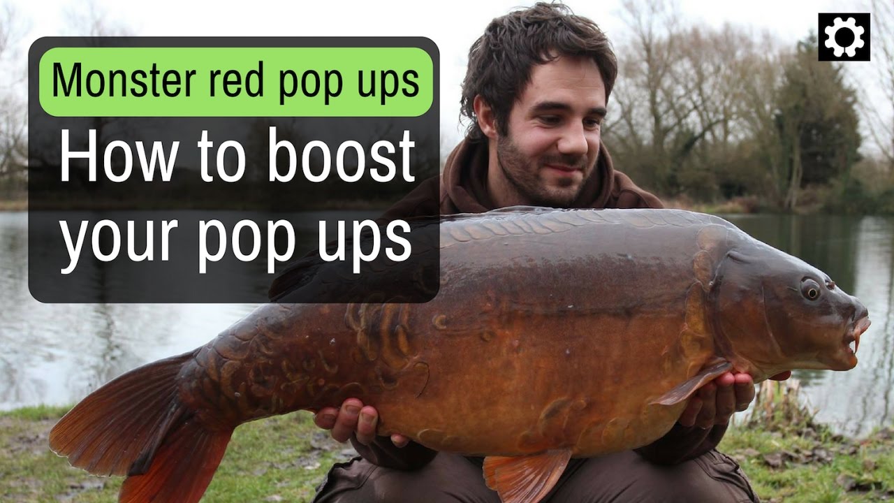 Carp fishing - how to boost Baitworks Monster Red pop ups
