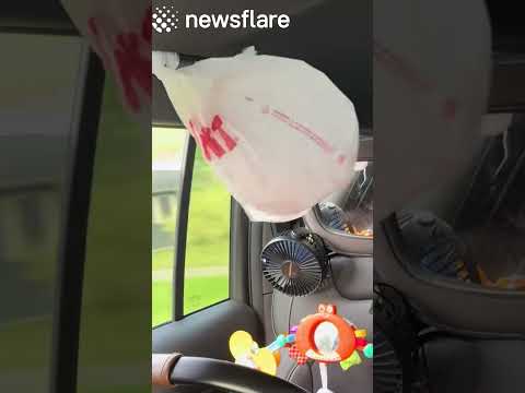 Parents Trick To Stop Babies From Crying