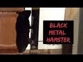 Black Metal Hamster: Climbing The Walls