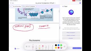 Lecture recording live while taking notes on lecture slides with apple pencil on Mindgrasp iOS app