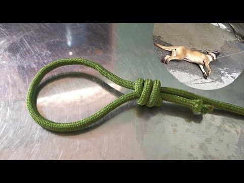 Video Kỹ Thuật Buộc Dây Thòng Lòng Cực Đẹp / Thòng Bắt Chó - youtube
