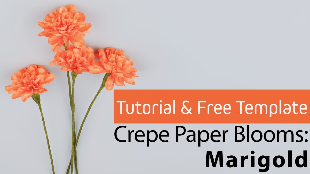 [Free Template & Tutorial] Crepe Paper Blooms #8: Marigold 메리골드 종이꽃 만들기 / Crepe Paper Flower DIY