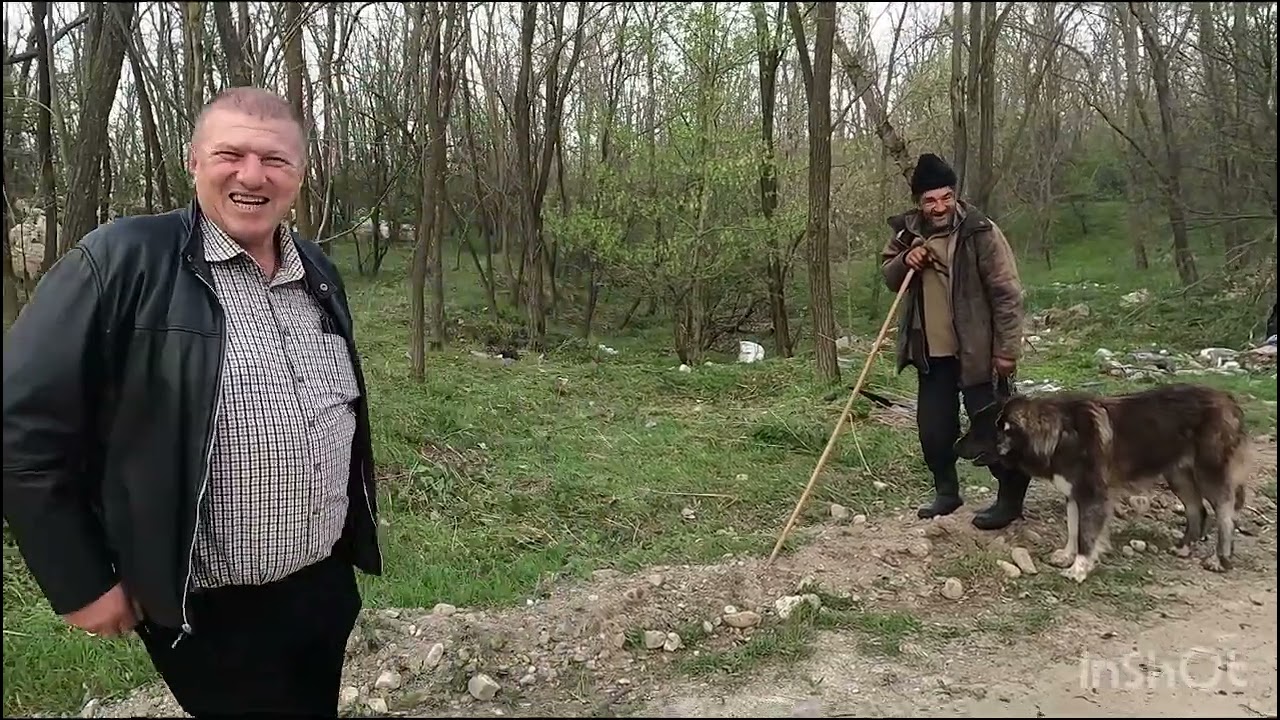 Transhumanta cu Oile DL Dilirici  Gigel .Din Berevoesti.Arges.GOSPODAR ADEVARAT.ferma de 3200 oi .