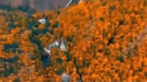 سورة الرحمن مكررة لخمس ساعات بصوت القارئ هزاع البلوشي