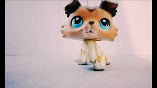 LPS MEP PART Cody pet shops