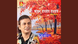 Video thumbnail of "Surojit Chatterjee - Phagun Haway Haway"