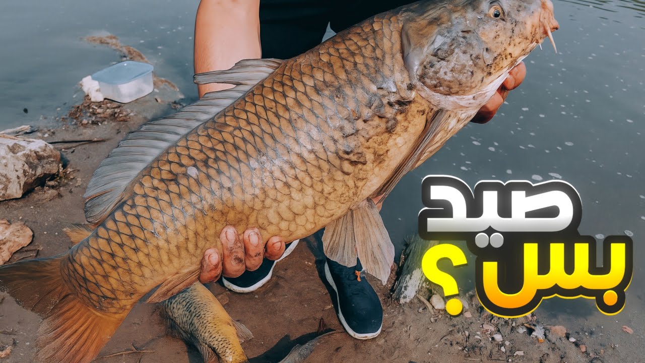 صيد اليوم بأوزان مختلفة في ساوث داكوتا 🐟😍🤩