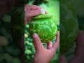 Craftsmen of China's Intangible Cultural Heritage (ICH)