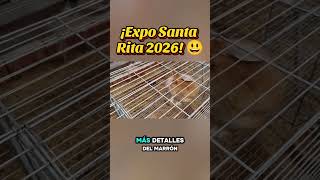 ¡Expo Santa Rita 2026 😃 | Así se Vive el EVENTO más Grande! 😃, Parte 13