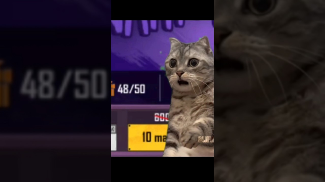 WHY PUBG😡 #pubgfunnyshorts