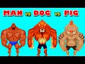 TOUGH MAN vs TOUGH DOG vs TOUGH PIG