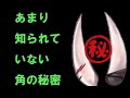 【百鬼あやめ】百鬼組なら知っておきたい角の詳細