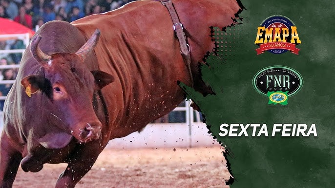 Peão de Crixas, GO, é campeão brasileiro do rodeio da PBR em Barretos, SP, Festa do Peão de Barretos 2023