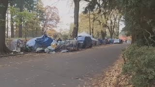 Construction begins for new features at Laurelhurst Park after latest homeless sweep
