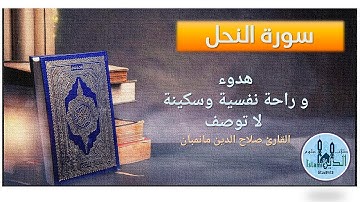 16- Pages 279-280 Surah Al-Nahl HD ترتيل من سورة النحل لصلاح الدين مانمبان بصوت شجي هادىء وخط كبير